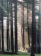 MorningInThePines_tn.jpg (8550 bytes)