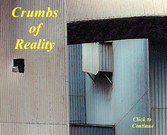 Crumbs of Reality