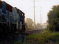 Passing CP White