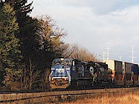 SunlitWedgie_tn.jpg (15815 bytes)