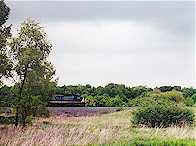 Greenwich2_tn.jpg (6588 bytes)