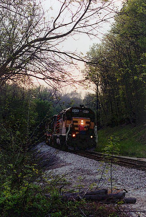 In Woods And Twilight