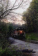 In Woods And Twilight