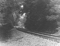Tunnel_Of_Trees_tn.jpg (11602 bytes)